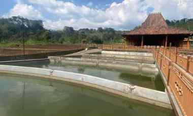jual lahan kebun bonus gazebo