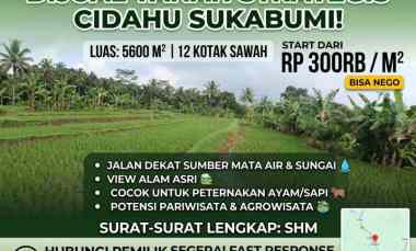Jual Lahan Sawah Produktif