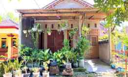 Rumah Dijual di Jl. Raya Batujamus Jambangan, Karangpelem, Kedawung, Sragen