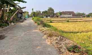 Tanah Dijual di Kedawung, Sragen, Jawa Tengah