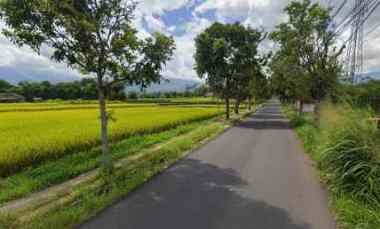 jual sawah milik gugum gumbira alm