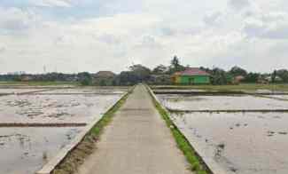 jual sawah produktif di karawang