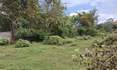 jual tanah 5 unit shm di jalan asih devi kuta bali