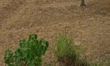 jual tanah area industri mojokerto