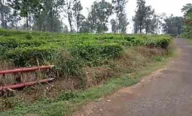 Jual Tanah Ciater View Kebun Teh
