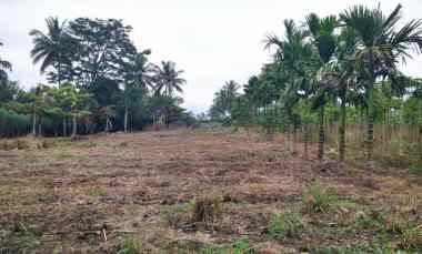 jual tanah cocok untuk developer