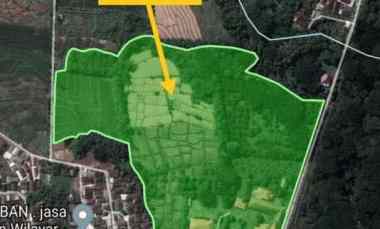 Jual Tanah dan Bangunan jl Raya Provinsi Purwodadi