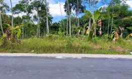 jual tanah datar 1 hektar karangpandan karanganyar