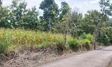 jual tanah datar 8001m 90rb m siap bangun sragen