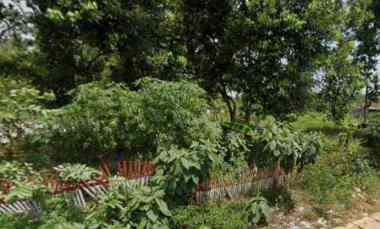 Jual Tanah di Ciomas - Tembong