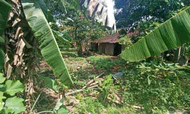 jual tanah di pendem rt 19 sumberlawang sragen