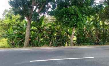 jual tanah di pinggir jalan raya denpasar gilimanuk