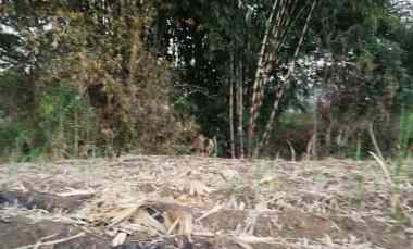 jual tanah di sidorahayu kec wagir malang