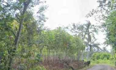 jual tanah investasi murah