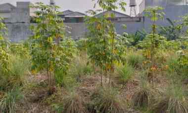 jual tanah kavling di moderland tangerang