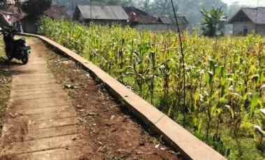 jual tanah kebun sawah
