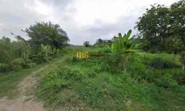 jual tanah kosong di jalan irian barat sampali gg geor