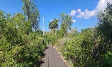 jual tanah kosong shm di jalan gayangsari badung bali