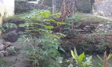 Jual Tanah Milik Pribadi Sebelah Jalan Raya Desa