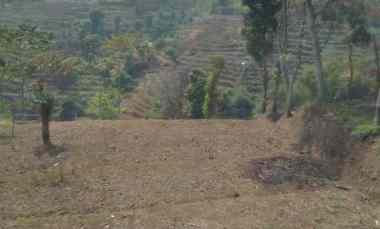 jual tanah minimalis murah