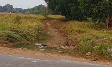 jual tanah murah 11 hektar di karawang