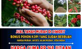 Tanah Dijual di Bandung, Ciwidey, Pangalengan, Lembang