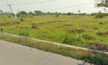 jual tanah murah di teluk terate kramatwatu kab serang