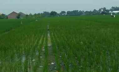 jual tanah siap bangun