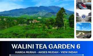Jual Tanah View Gunung dan Kebun Teh di Bandung