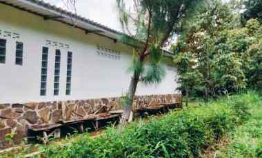 jual villa dan kebun durian