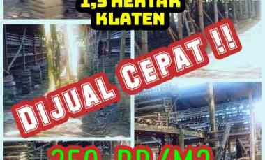 Tanah Dijual di Klaten JATENG