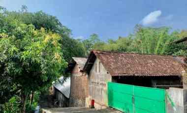 kandang peternakan lokasi ampel boyolali strategis