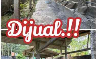 kandangsapi kapasitas 40 ekor boyolali kota 1 1m nego