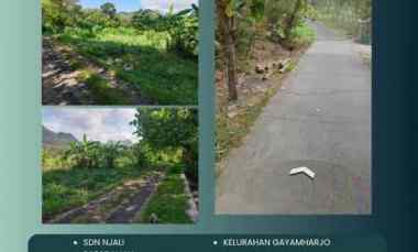 kapan lagi investasi sawah di jogja dengan harga murah