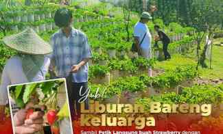 Kavling Kebun Strowberi Murah SHM di Ciwidey Bandung