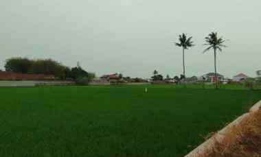 kavling tanah sayap jl patriot tarogong garut