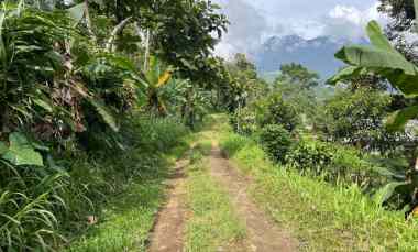 kebun durian 1237m kawasan wisata kemuning karanganyar