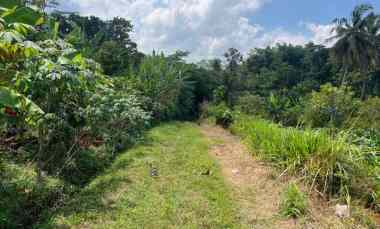 kebun durian 1900m subur mojogedang karanganyar