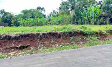 kebun durian 700m 250juta kerjo karanganyar
