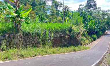 kebun durian 950m 250jt mojogedang karanganyar