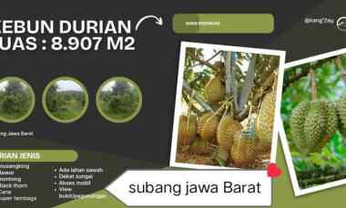 Kebun Durian, Kalijati Subang Jawa Barat