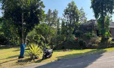 kebun durian subur 1000m kerjo karanganyar