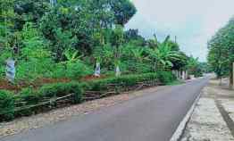 Kebun Durian Utara Pasar Mojogedang Karanganyar