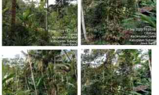 Kebun Produktif, Daerah Ciater Subang Jawa Barat