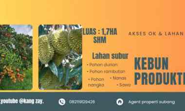Kebun Produktif, Rambutan, Durian, Kalijati Subang