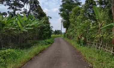 Kebun Sawah, Produktif, View Bagus, Subang