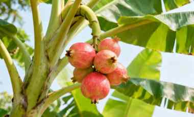 Agen Pengiriman Exprrss Batam