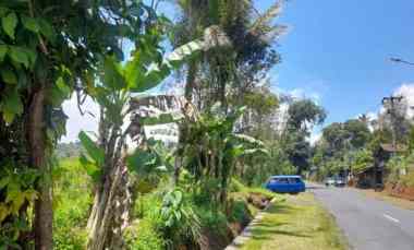 lahan 20 hektare shm potensi wisata perkebunan