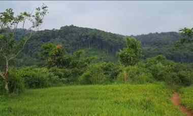 lahan daratan akses bagus view indah subang