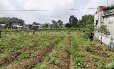 lahan kebun aktif siap bangun lokasi strategis